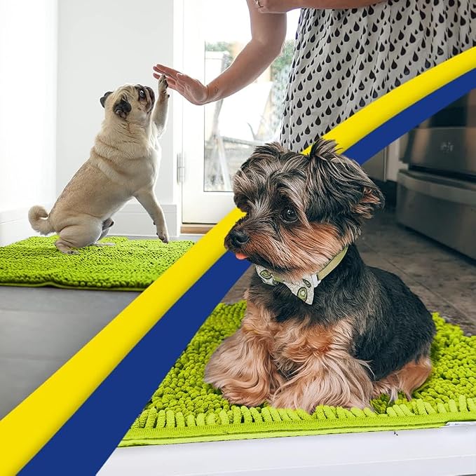 Muddy Mat® | Super Water Absorbent Door Mat Indoor, Microfiber Quick Dry Chenille Entryway Rug,Slip Resistant Front Door Mat,Indoor Mats for Entryway,Machine Washable Pet Rug, Spring Green 3ft x 3ft