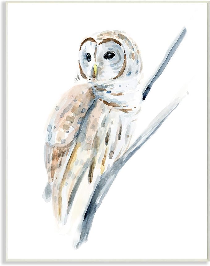'Soft Arctic Owl Perched on Minimal Branch'| Wall Plaque Art | Stupell Industries | 13 x 19 Inches, Easy to Hang and Sturdy, Made in USA, by Annie Warren