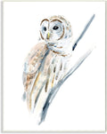 'Soft Arctic Owl Perched on Minimal Branch'| Wall Plaque Art | Stupell Industries | 13 x 19 Inches, Easy to Hang and Sturdy, Made in USA, by Annie Warren