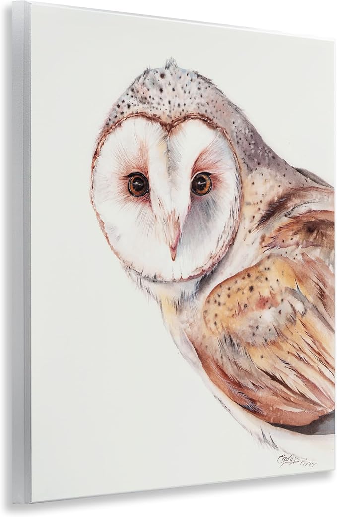 Peeking Barn Owl Gaze Wildlife, 11 x 14 Inch Mounted Print on Wall Plaque | Stupell Industries · By Cady Driver · Ready to hang · Rustic cabin and lodge decor · Made in USA