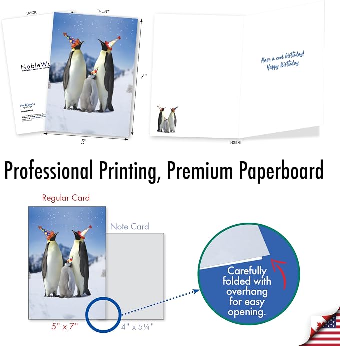 NobleWorks 36 Assorted Box Set Birthday Greeting Cards w/5 x 7 Inch Envelopes (36 Designs, 1 Each) Bday A Bunch Of Birthdays AC7744BDG-B1x36