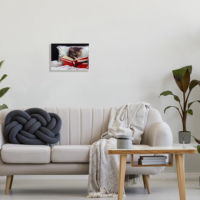 Stupell Industries Cat Reading a Book in Bed Funny Painting Wall Plaque, 10 x 15, Design by Artist Lucia Heffernan | Stupell Industries | 15 x 10 Inches, Easy to Hang and Sturdy, Made in USA, by Lucia Heffernan