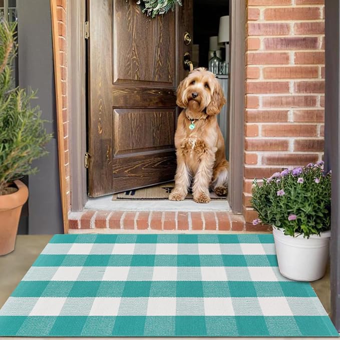 Ckorzen Green and White Plaid Rug, 28" x 43" Spring Outdoor Front Porch Door Decor Mat, Washable Cotton Woven Farmhouse Area Rug for Layered Door Mats Carpet, Entryway, Easter Décor