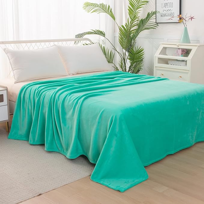 Elegant Comfort Luxury Velvety Feel Blanket, All-Season Lightweight Blanket, Ultra Plush, Soft, Cozy-Fuzzy Flannel Fleece for Couch, Sofa, Bed, Travel, Solid Design, Twin/Twin XL, Tiffany