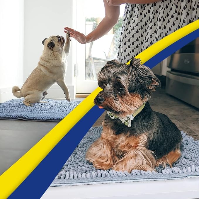 Muddy Mat® | Super Water Absorbent Door Mat Indoor, Microfiber Quick Dry Chenille Entryway Rug, Slip Resistant Front Door Mat, Indoor Mats for Entryway, Machine Washable Pet Rug, Baby Blue 32" x 44"