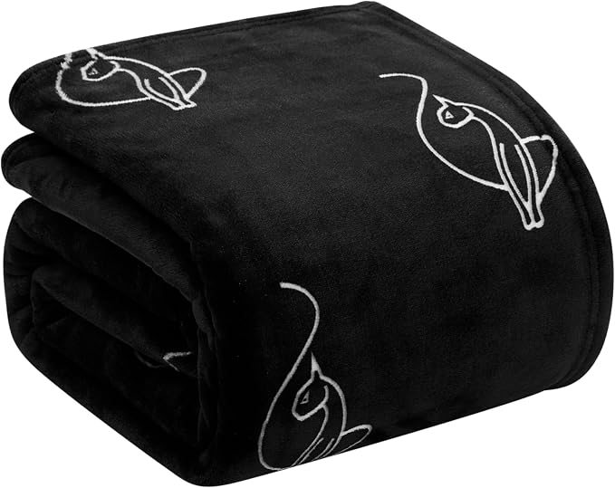 Baby Phat Oversized Plush Throw Blanket 60" x 70", Skinny Cat Black
