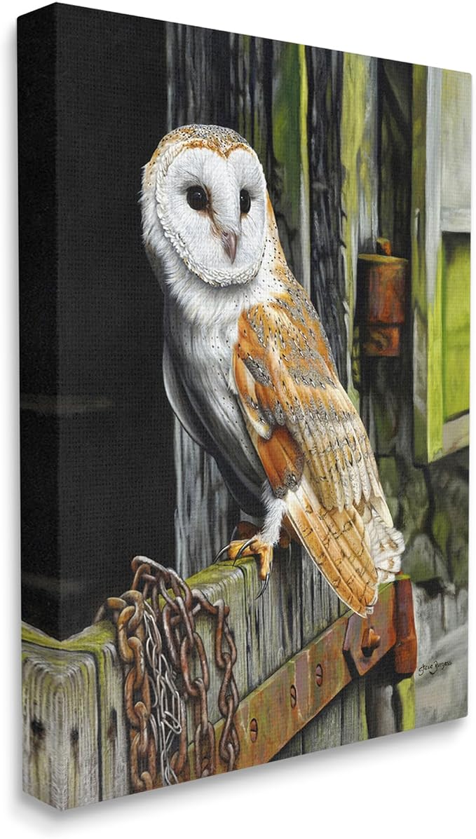 Stupell Industries 'Owl Perched on Barn Door'| Canvas Art | Stupell Industries | 30 x 40 Inches, Easy to Hang and Sturdy, Made in USA, by Steve Burgess