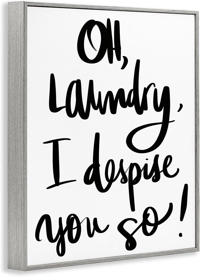 Stupell Industries 'Laundry I Despise You', Framed Giclee Art, Gray, 24 x 30 Inches, Easy to Hang and Sturdy, Made in USA, by SD Graphics Studio | Stupell Industries | Gray, 24 x 30 Inches, Easy to Hang and Sturdy, Made in USA, by SD Graphics Studio