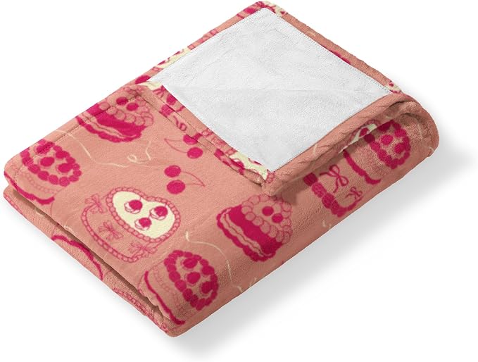 NORTHWEST Valentine's Day, V-Day Cakes, Silk Touch Throw Blanket 50 x 60 Inches