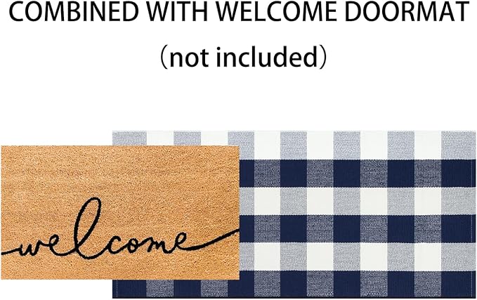Front Porch Rug 2'X4.3' Blue and White Checkered Outdoor Rug Cotton Woven Washable Halloween Layering Door Mat for Welcome Mat Entryway Bedroom Living Room