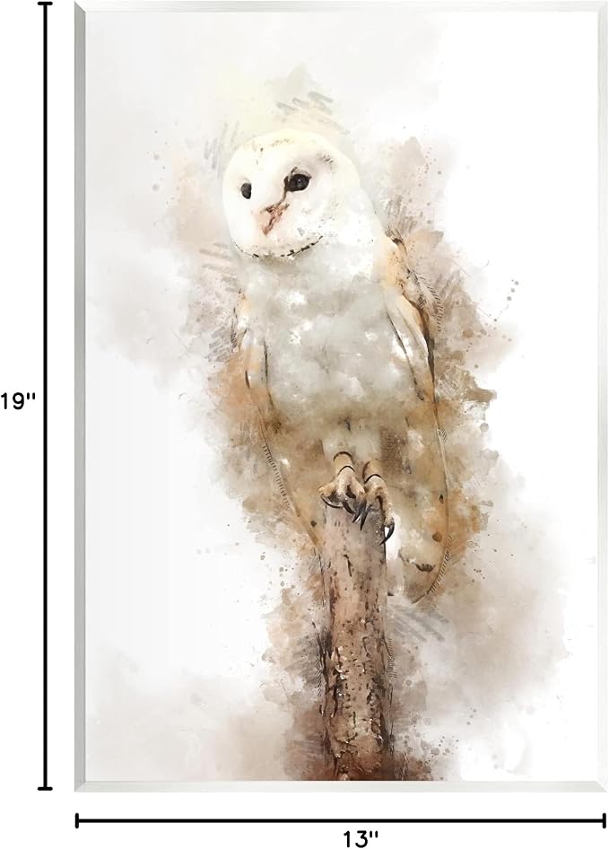 Perched Barn Owl Wildlife, 13 x 19 Inch Mounted Print on Wall Plaque | Stupell Industries · By Kim Curinga · Ready to hang · Made in USA