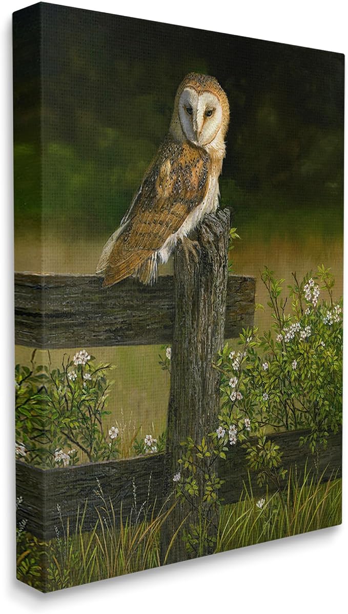 Stupell Industries Barn Owl Fence Woodland, 24 x 30 Inch Canvas Wall Art | Stupell Industries · By Karla Mann · Ready to hang · Perfect for farmhouse decor · Made in USA