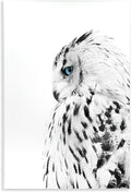 Snow Owl Peering Blue Eyes, 10 x 15 Inch Mounted Print on Wall Plaque | Stupell Industries · By Design Fabrikken · Ready to hang · Cabin and lodge decor · Made in USA
