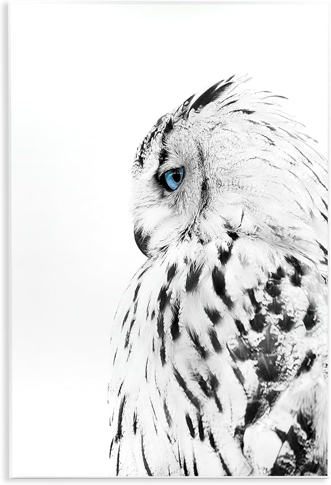 Snow Owl Peering Blue Eyes, 10 x 15 Inch Mounted Print on Wall Plaque | Stupell Industries · By Design Fabrikken · Ready to hang · Cabin and lodge decor · Made in USA