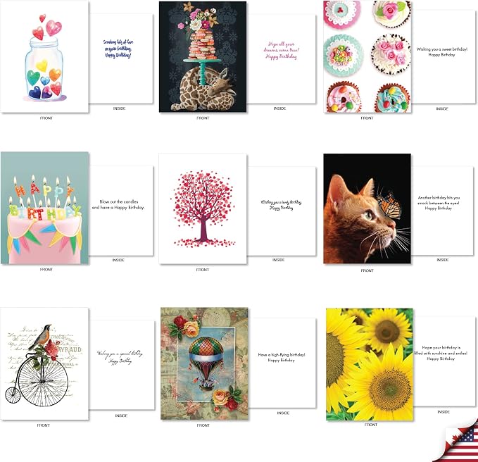 Best Card Co 36 Assorted Funny Birthday Notecards Bulk Box Set 4 x 5.12 Inch with Envelopes (36 Designs, 1 Each) Animals, B-Day Card Variety Pack A Bunch of Birthdays AM7744BDG-B1x36