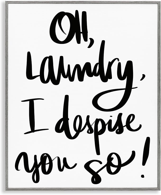 Stupell Industries 'Laundry I Despise You', Framed Giclee Art, Gray, 24 x 30 Inches, Easy to Hang and Sturdy, Made in USA, by SD Graphics Studio | Stupell Industries | Gray, 24 x 30 Inches, Easy to Hang and Sturdy, Made in USA, by SD Graphics Studio
