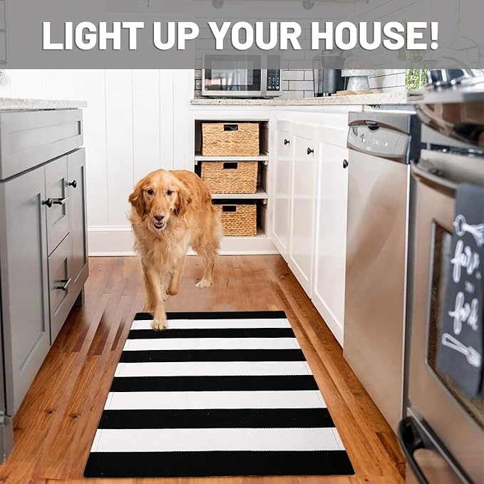 IOHOUZE Black White Striped Rug -27.5" X 43" Front Door Mats Outdoor,Washable Rug for Front Porch Decor,Spring Summer Welcome Mats Outdoor Indoor, Doormat for Farmhouse/Entryway/Home Entrance