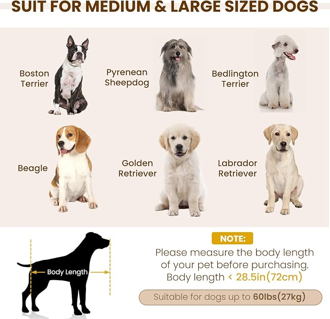 38" Dog Sofa Bed, Elevated Dog Bed with Backrest and Armrests, Soft Memory Foam Couches for Small and Medium-Sized Pets, Durable Linen Pet Couch Furniture, Green
