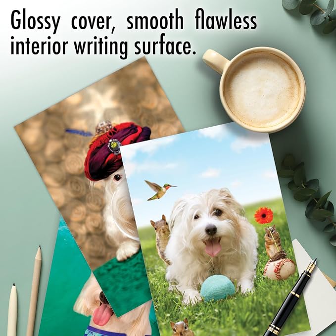 NobleWorks 20 Assorted Box Set Funny Birthday Greeting Cards w/5 x 7 Inch Envelopes (10 Designs, 2 Each) Bday Shaggy Dogs AC3216BDG-B2x10