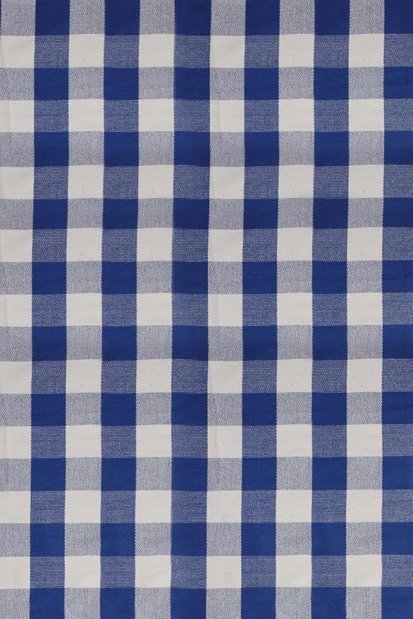 Buffalo Plaid Outdoor Rug 4x6 Ft Blue and White Checkered Area Rug Washable Indoor Outdoor Rugs for Entryway,Hallway, Kitchen, Living Room, Dining Room, Bedroom