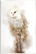 Stupell Industries Perched Barn Owl Wildlife Wall Plaque Art, Design by Kim Curinga, 10 x 15 | Stupell Industries · By Kim Curinga · Ready to hang · Made in USA