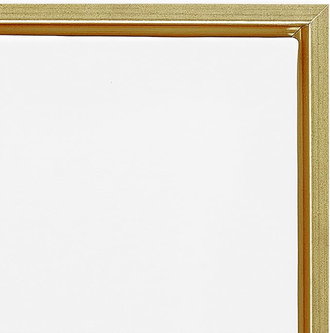 'Abstract Flower Bloom Painting'| Floating Frame Canvas Art | Stupell Industries | Gold, 18 x 18 Inches, Easy to Hang and Sturdy, Made in USA, by K. Nari