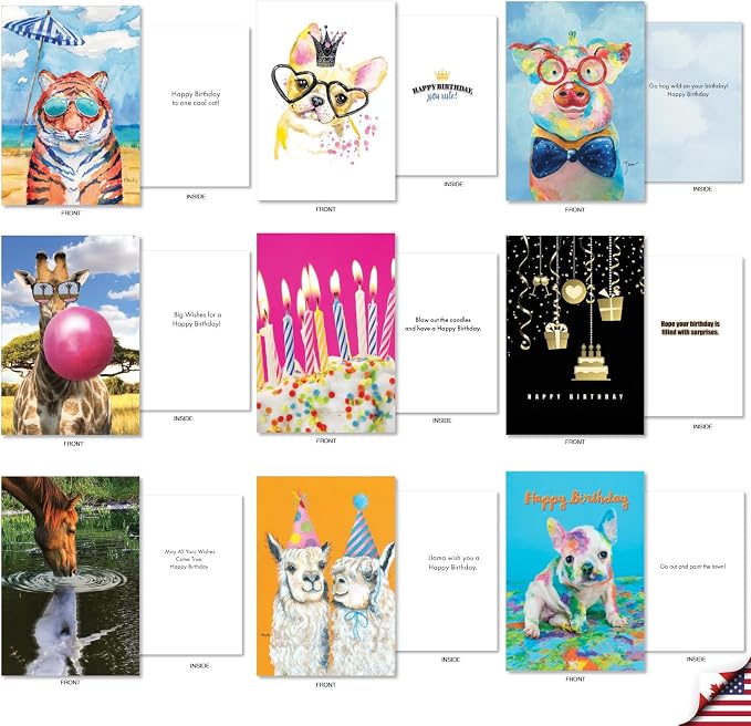 NobleWorks 36 Assorted Box Set Birthday Greeting Cards w/5 x 7 Inch Envelopes (36 Designs, 1 Each) Bday A Bunch Of Birthdays AC7744BDG-B1x36