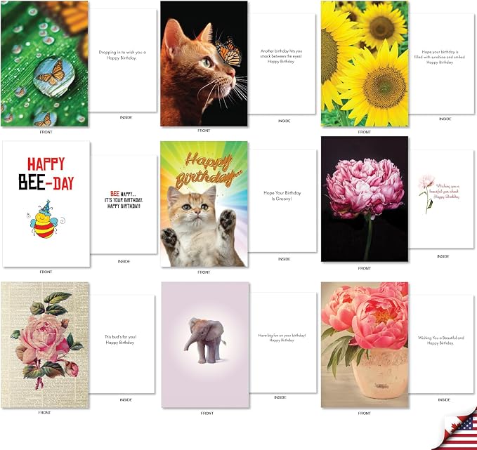 NobleWorks 36 Assorted Box Set Birthday Greeting Cards w/5 x 7 Inch Envelopes (36 Designs, 1 Each) Bday A Bunch Of Birthdays AC7744BDG-B1x36