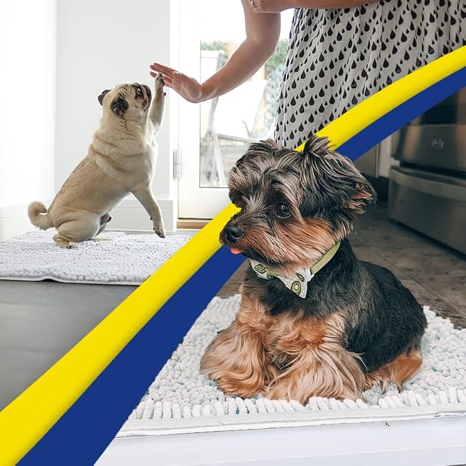 Muddy Mat® | Super Water Absorbent Door Mat Indoor, Microfiber Quick Dry Chenille Entryway Rug, Slip Resistant Front Door Mat, Indoor Mats for Entryway, Machine Washable Pet Rug, White 5ft x 7ft
