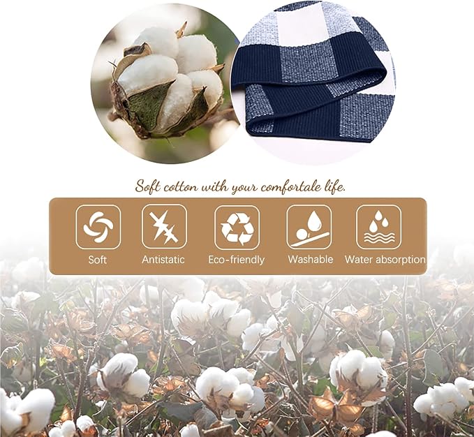 KILOCOCO Buffalo Plaid Checkered Rug 27.5x43 in Blue White Front Door Rug | Cotton Woven Outdoor Rug, Machine Washable Front Door Mat, Indoor Entryway Rug, Low Pile Welcome Mats for Farmhouse