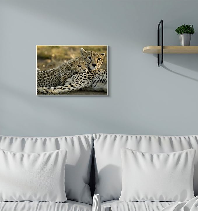 Cheetah Family Mother and Cub, 10 x 15 Inch Mounted Print on Wall Plaque | Stupell Industries · Ready to hang · Nature inspired decor · Made in USA