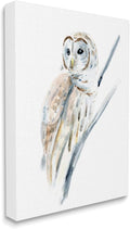 Stupell Industries 'Soft Arctic Owl Perched on Minimal Branch'| Canvas Art | Stupell Industries | 36 x 48 Inches, Easy to Hang and Sturdy, Made in USA, by Annie Warren