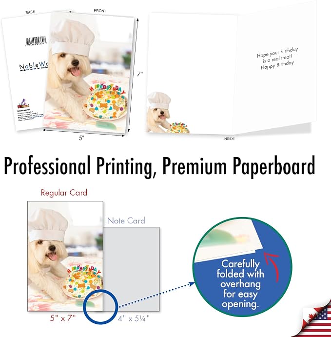 NobleWorks 20 Assorted Box Set Funny Birthday Greeting Cards w/5 x 7 Inch Envelopes (10 Designs, 2 Each) Bday Shaggy Dogs AC3216BDG-B2x10