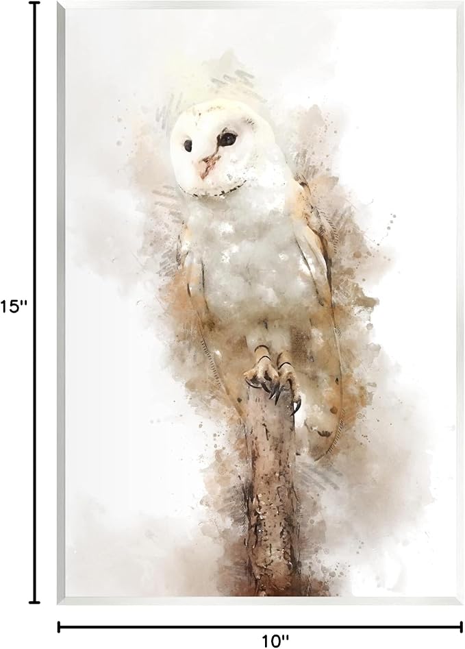 Stupell Industries Perched Barn Owl Wildlife Wall Plaque Art, Design by Kim Curinga, 10 x 15 | Stupell Industries · By Kim Curinga · Ready to hang · Made in USA