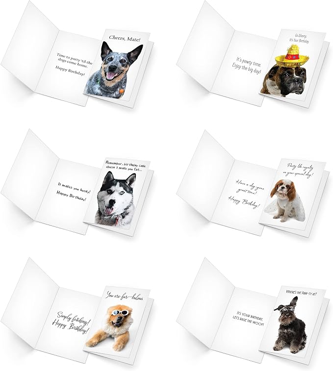 Prime Greetings 24 Funny Dog Birthday Card Assortment - Greeting Card Assortment - Funny Birthday Cards Bulk - Boxed Birthday Cards Box Set With Message inside, Made In America, Eco-Friendly