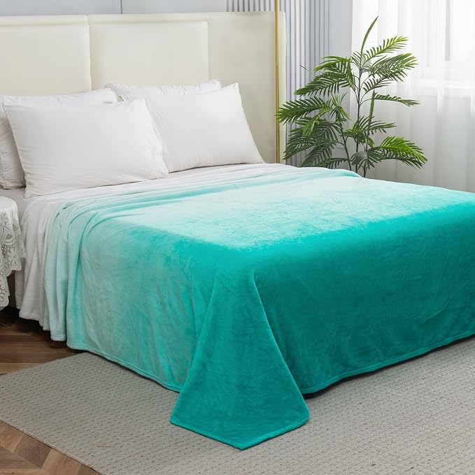 Elegant Comfort Luxury Velvety Feel Blanket, All-Season Lightweight Blanket, Ultra Plush, Soft, Cozy-Fuzzy Flannel Fleece for Couch, Sofa, Bed, Travel, Ombre Design, Twin/Twin XL, Tiffany