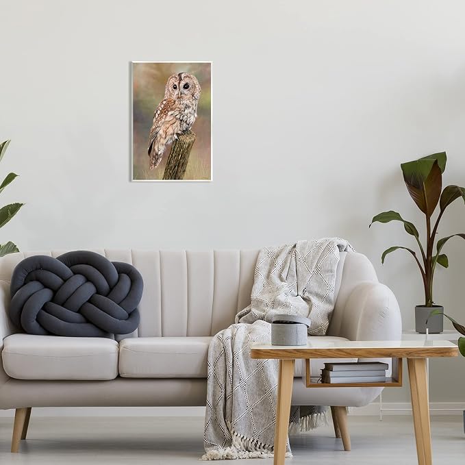 Tawny Owl Woodland Wildlife, 13 x 19 Inch Mounted Print on Wall Plaque | Stupell Industries · By David Stribbling · Ready to hang · Cabin and lodge decor · Made in USA