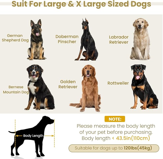 51" XL Dog Bed Couch, Elevated Large Dog Sofa with Backrest and Armrests, Soft Memory Foam Extra Large Pet Bed with Removable Cushion, Durable Linen Pet Couch Furniture, Beige