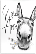 Stupell Industries 'Nice Arse Donkey Pun', Wall Plaque Art, 13 x 19 Inches, Easy to Hang and Sturdy, Made in USA, by Lettered and Lined | Stupell Industries | 13 x 19 Inches, Easy to Hang and Sturdy, Made in USA, by Lettered and Lined