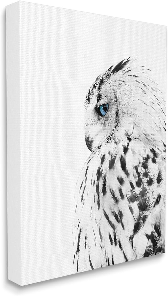 Stupell Industries Snow Owl Peering Blue Eyes, 30 x 40 Inch Canvas Wall Art | Stupell Industries · By Design Fabrikken · Ready to hang · Cabin and lodge decor · Made in USA
