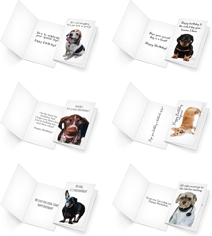 Prime Greetings 24 Funny Dog Birthday Card Assortment - Greeting Card Assortment - Funny Birthday Cards Bulk - Boxed Birthday Cards Box Set With Message inside, Made In America, Eco-Friendly