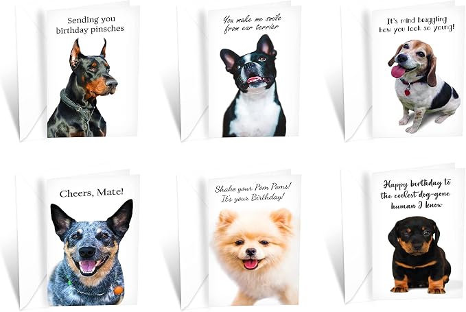 Prime Greetings 24 Funny Dog Birthday Card Assortment - Greeting Card Assortment - Funny Birthday Cards Bulk - Boxed Birthday Cards Box Set With Message inside, Made In America, Eco-Friendly