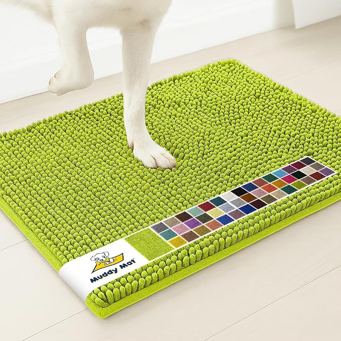 Muddy Mat® | Super Water Absorbent Door Mat Indoor, Microfiber Quick Dry Chenille Entryway Rug,Slip Resistant Front Door Mat,Indoor Mats for Entryway,Machine Washable Pet Rug, Spring Green 30" x 60"