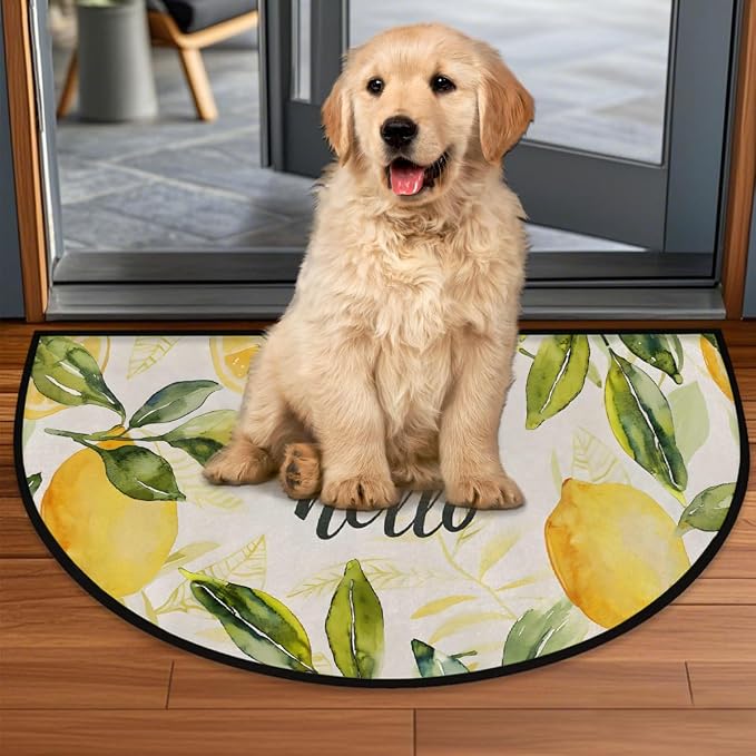 Pardick Half Round Door Mat Vintage Lemon Anti-Slip Semi Circle Rug 24X36 Indoor Door Mat Half Moon Bath Mats, Washable Decorative Welcome Floor Mats for Kitchen Bathroom Hearth Fireplace,A-1624