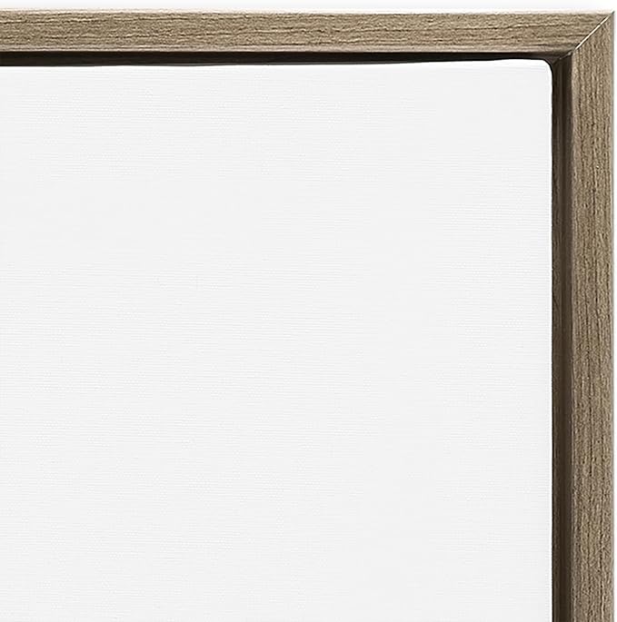 Abstract Floral Bloom Gallery, 24 x 24 Inch Canvas in Floater Frame | Stupell Industries · By K. Nari · Ready to hang · Made in USA