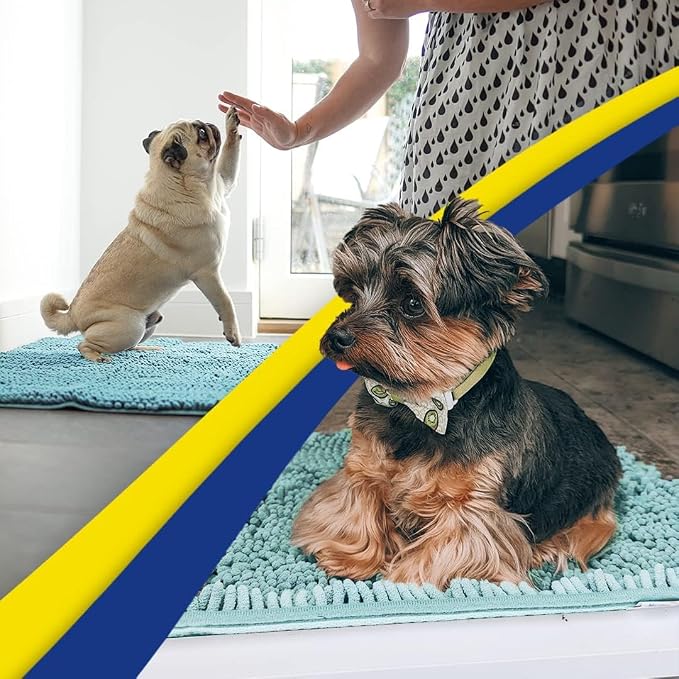 Muddy Mat® | Super Water Absorbent Door Mat Indoor, Microfiber Quick Dry Chenille Entryway Rug, Slip Resistant Front Door Mat, Indoor Mats for Entryway, Machine Washable Pet Rug, Sea Green 32" x 40"