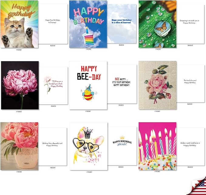 Best Card Co 36 Assorted Funny Birthday Notecards Bulk Box Set 4 x 5.12 Inch with Envelopes (36 Designs, 1 Each) Animals, B-Day Card Variety Pack A Bunch of Birthdays AM7744BDG-B1x36