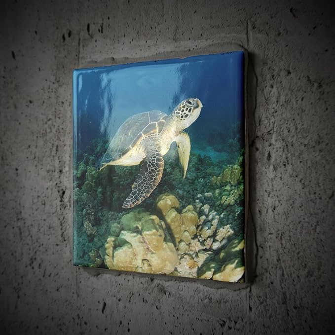 3dRose Green Sea Turtle, Makena SP, Maui, Hawaii - US12 SWS0150 - Stuart Westmorland 8 Inch Ceramic Tile