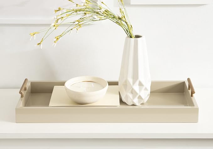 Kate and Laurel Lipton Modern Narrow Tray; 10 x 24; Sand; Midcentury Serving Tray for Storage and Display