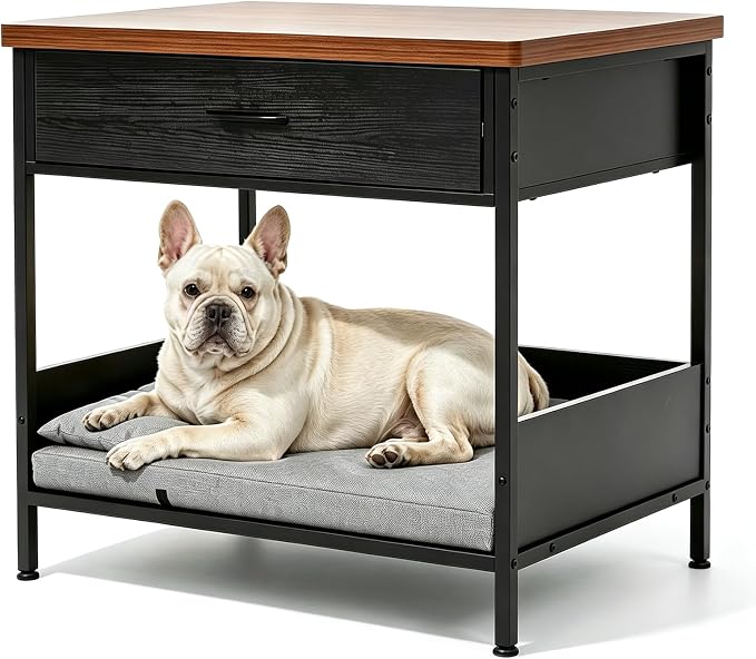 Dog Bed End Table with Storage Drawer and Washable Cushion, Black & Walnut | Open Elevated Dog Bed Furniture for Small Medium Dogs Up to 50 lbs, Metal Frame, Drawer, for Living Room, Bedroom Bedside